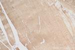 NEU2 Antibody in Immunohistochemistry (Paraffin) (IHC (P))