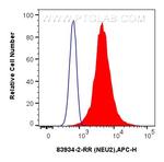 NEU2 Antibody in Flow Cytometry (Flow)