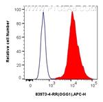OGG1 Antibody in Flow Cytometry (Flow)