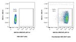FAP Antibody in Flow Cytometry (Flow)