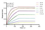FAP Antibody in Surface plasmon resonance (SPR)
