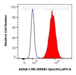 RREB1 Antibody in Flow Cytometry (Flow)
