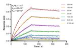 CD9 Antibody in Surface plasmon resonance (SPR)