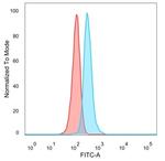 GTF2IRD2 Monoclonal Antibody (PCRP-GTF2IRD2-1B12)