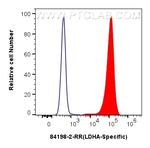 LDHA Antibody in Flow Cytometry (Flow)