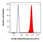 LDHA Antibody in Flow Cytometry (Flow)