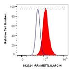 METTL1 Antibody in Flow Cytometry (Flow)