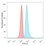 THG1/RHOXF2 Antibody in Flow Cytometry (Flow)