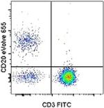 CD20 Antibody in Flow Cytometry (Flow)