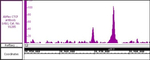 CTCF Antibody in CUT&RUN (CUT&RUN)