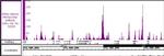 Histone H4K5ac/K8ac Antibody in ChIP-Sequencing (Chip-Seq)
