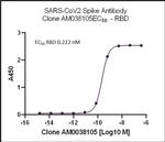 SARS-CoV-2 Spike Antibody in ELISA (ELISA)