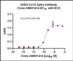 SARS-CoV-2 Spike Antibody in ELISA (ELISA)