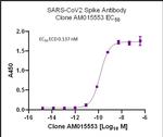 SARS-CoV-2 Spike Antibody in ELISA (ELISA)