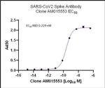 SARS-CoV-2 Spike Antibody in ELISA (ELISA)