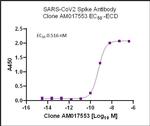SARS-CoV-2 Spike Antibody in ELISA (ELISA)