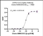 SARS-CoV-2 Spike Antibody in ELISA (ELISA)