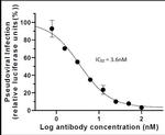 SARS-CoV-2 Spike Antibody in Neutralization (Neu)