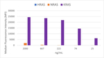K-Ras Antibody in Luminex (Luminex)