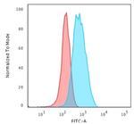 CD3e Antibody in Flow Cytometry (Flow)