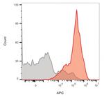 CD3e (T-Cell Marker) Antibody in Flow Cytometry (Flow)