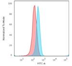 CD3e (T-Cell Marker) Antibody in Flow Cytometry (Flow)