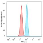 ZBED1/DREF Antibody in Flow Cytometry (Flow)