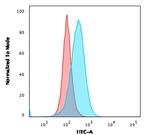 CD5 Antibody in Flow Cytometry (Flow)