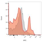 CD19 (B-Lymphocyte Marker) Antibody in Flow Cytometry (Flow)
