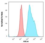 CD20/ MS4A1 (B-Cell Marker) Antibody in Flow Cytometry (Flow)