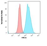 CD20/MS4A1 (B-Cell Marker) Antibody in Flow Cytometry (Flow)