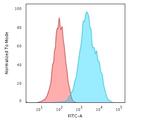 CD20/MS4A1 (B-Cell Marker) Antibody in Flow Cytometry (Flow)