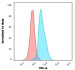 CD22/BL-CAM (B-Cell Marker) Antibody in Flow Cytometry (Flow)