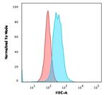 CD27 (Tumor Necrosis Factor Receptor Superfamily 7) Antibody in Flow Cytometry (Flow)