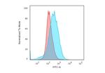 CD28 Antibody in Flow Cytometry (Flow)