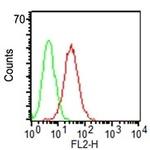 CD34 Antibody in Flow Cytometry (Flow)