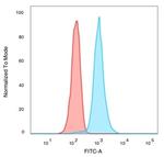CREB5/CRE-BPa Antibody in Flow Cytometry (Flow)