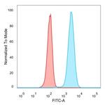 CREB5/CRE-BPa Antibody in Flow Cytometry (Flow)