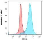 CD63 (Late Endosomes Marker) Monoclonal Antibody (LAMP3/529)