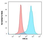 CD63 Recombinant Mouse Monoclonal Antibody (rMX-49.129.5)