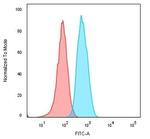 CD74 (B-Cell Marker) Antibody in Flow Cytometry (Flow)
