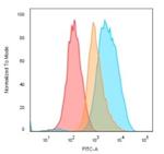 CD74 (B-Cell Marker) Antibody in Flow Cytometry (Flow)