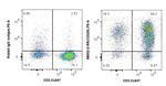 CD226 Antibody in Flow Cytometry (Flow)