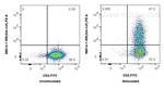 Gm-csf Antibody in Flow Cytometry (Flow)