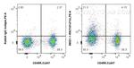 TNFR2/CD120b Antibody in Flow Cytometry (Flow)