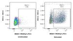 MCP-1 Antibody in Flow Cytometry (Flow)