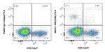 CD56 Antibody in Flow Cytometry (Flow)