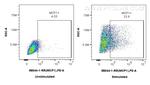 MCP-1 Antibody in Flow Cytometry (Flow)