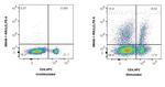 IL-2 Antibody in Flow Cytometry (Flow)