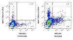 CXCL1 Antibody in Flow Cytometry (Flow)